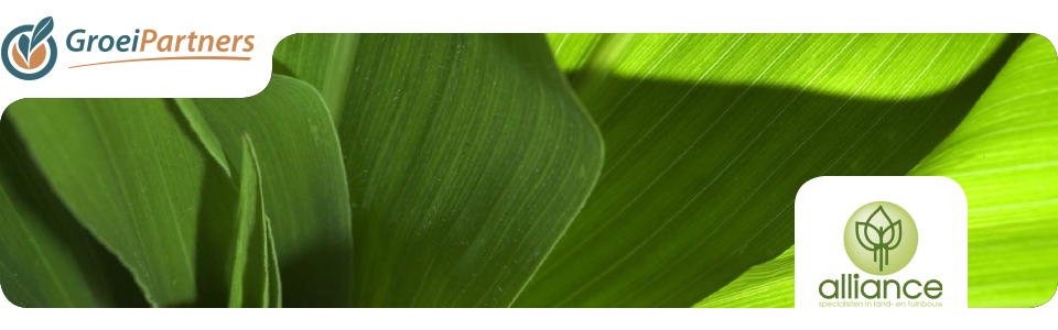 HeadersPartners-3