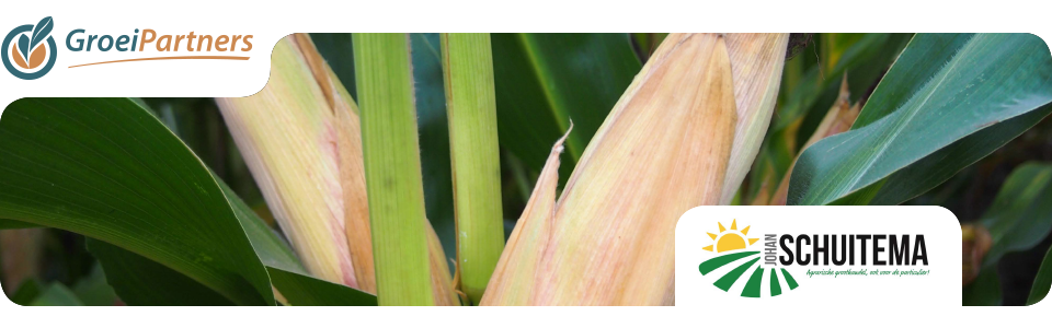HeadersPartners-5