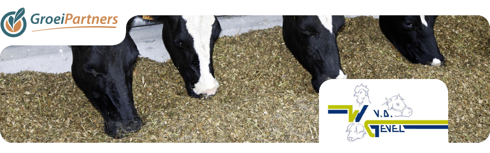 HeadersPartners-9