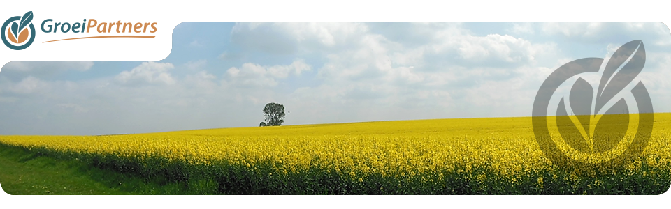 header_standaard11