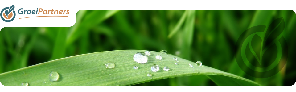 header_standaard16