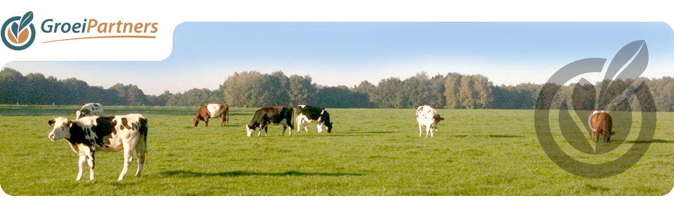 header_standaard19