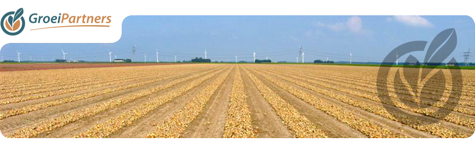 header_standaard25