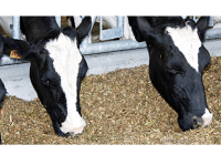 header_standaard6