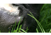 header_standaard8