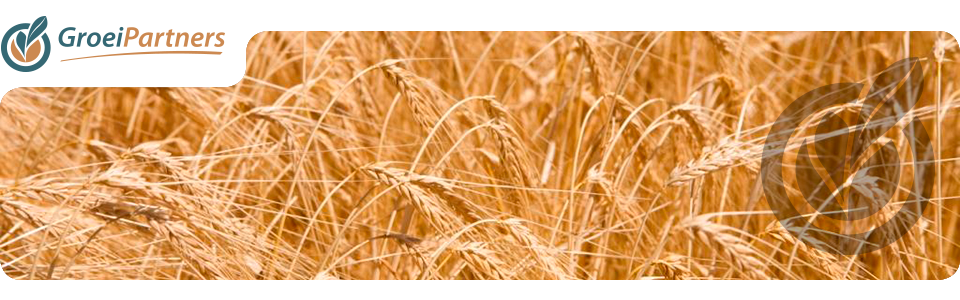 header_standaard9