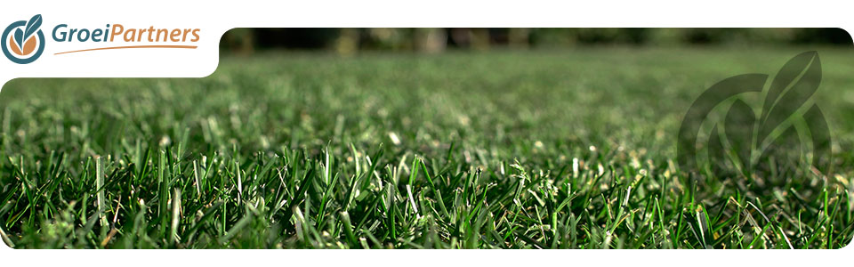 slider_template_extra1