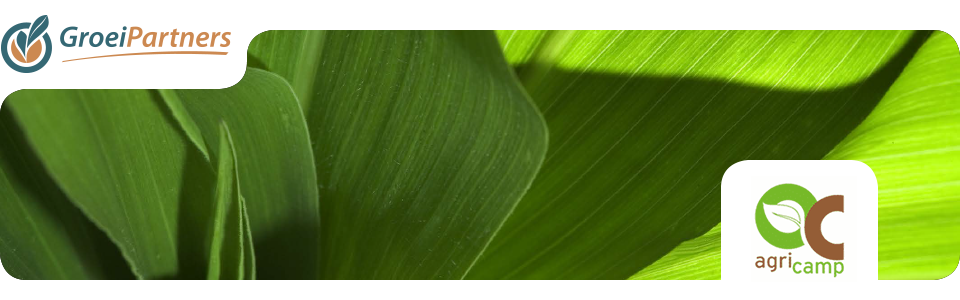 headerspartners-3
