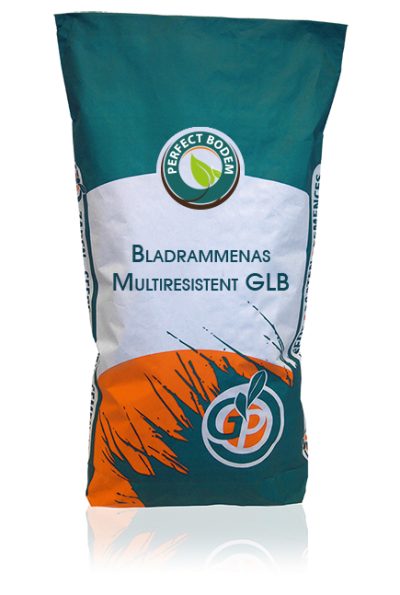 Bladrammenas-Multiresistent-GLB